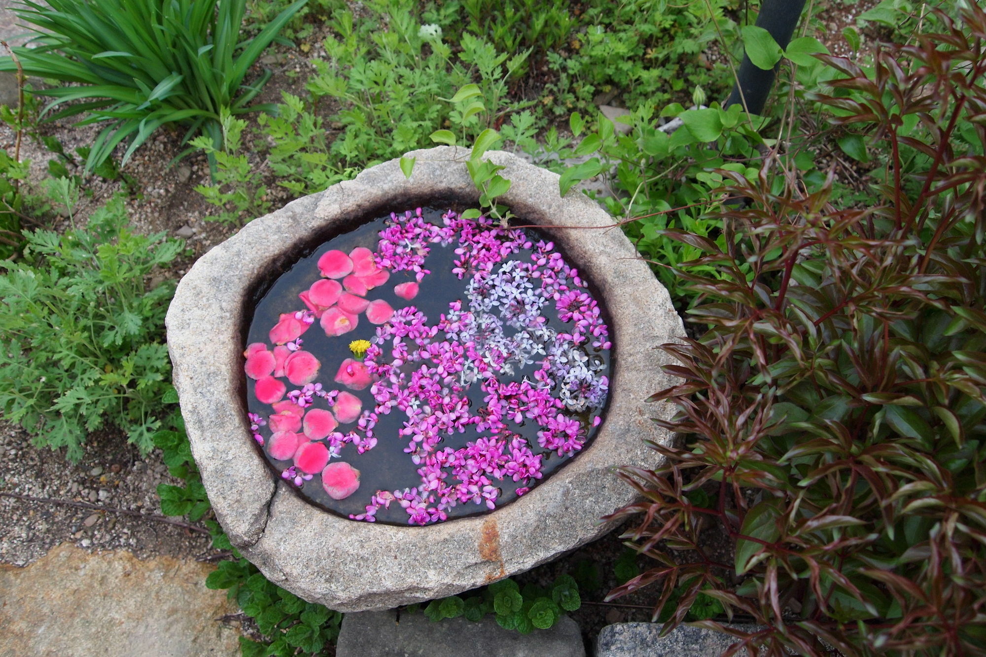 Floral Space Hanok Guesthouse Kjongdžu Exteriér fotografie